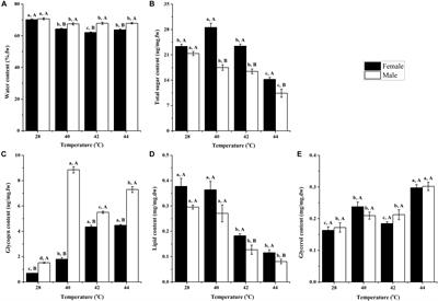 Physiological Metabolic Responses of Ophraella communa to High Temperature Stress